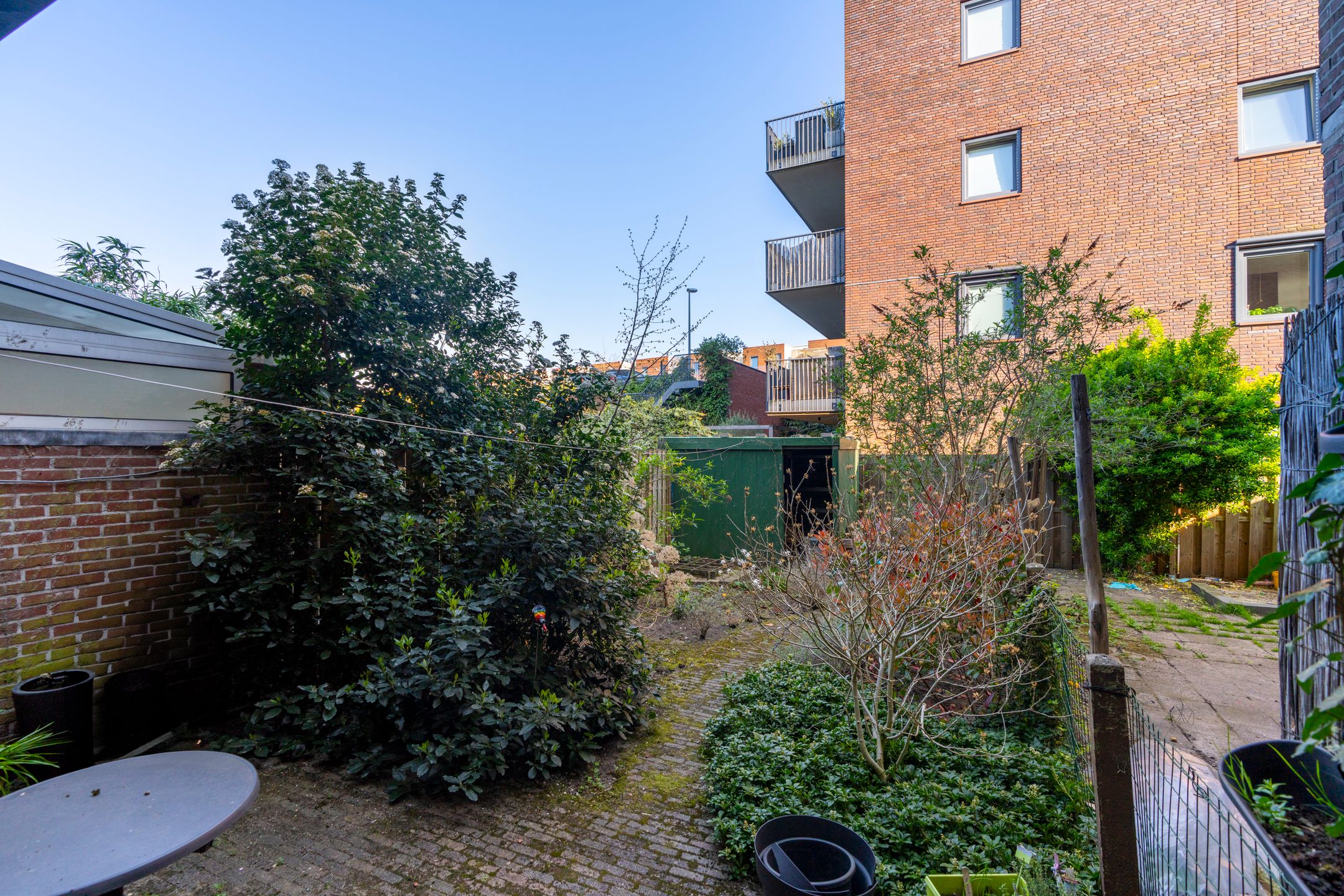 Foto 18 van Laan van Nieuw-Guinea 5