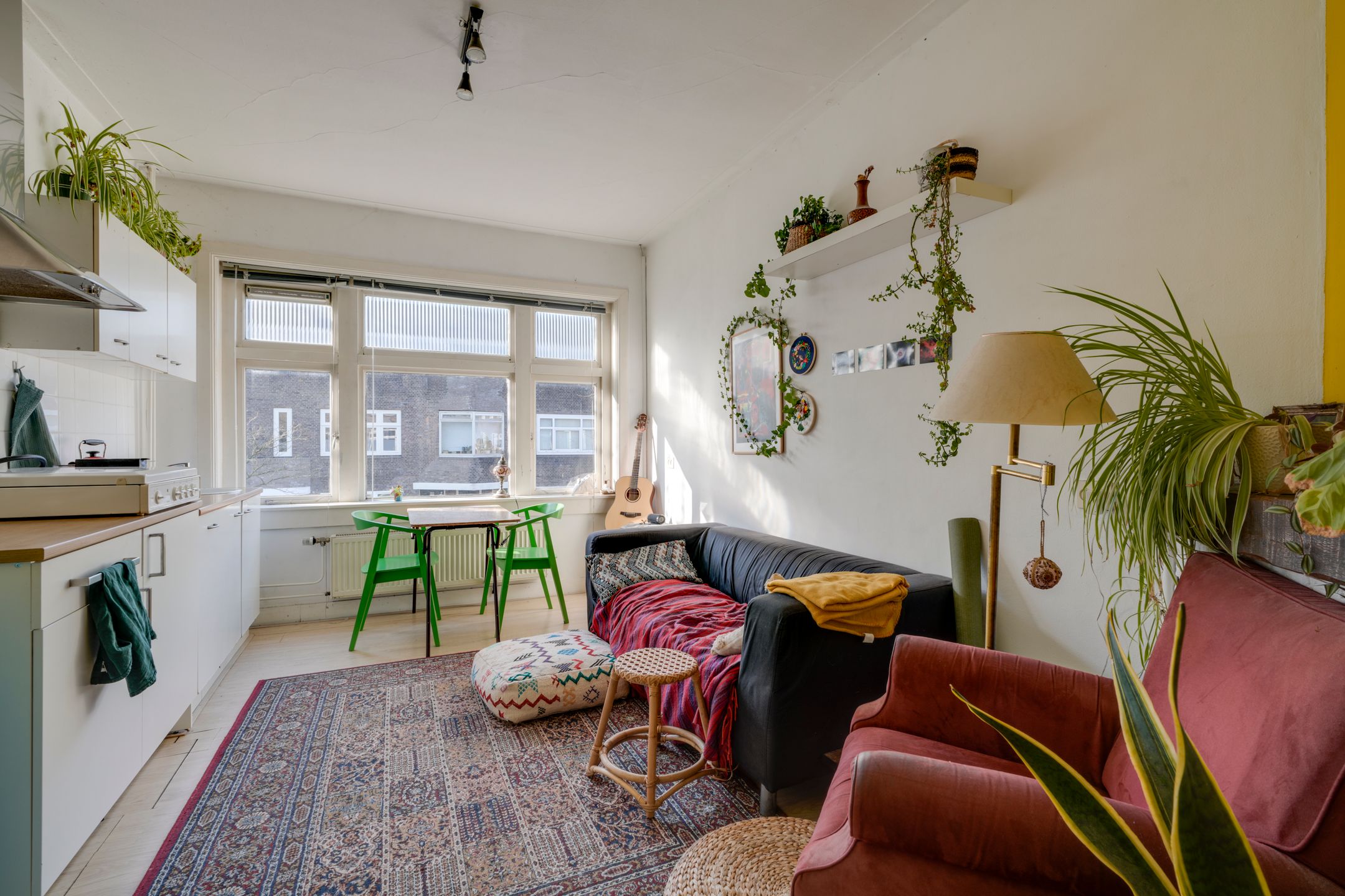 Foto 21 van Laan van Nieuw-Guinea 5