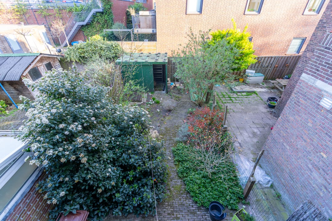 Foto 31 van Laan van Nieuw-Guinea 5