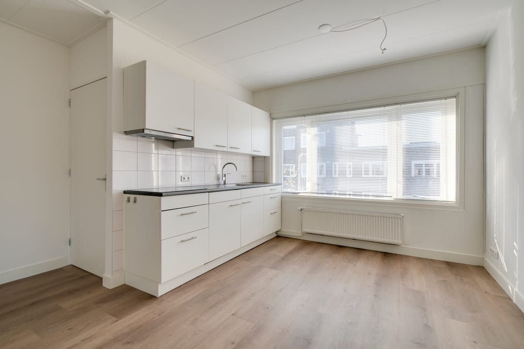 Foto 2 van Laan van Nieuw-Guinea 5