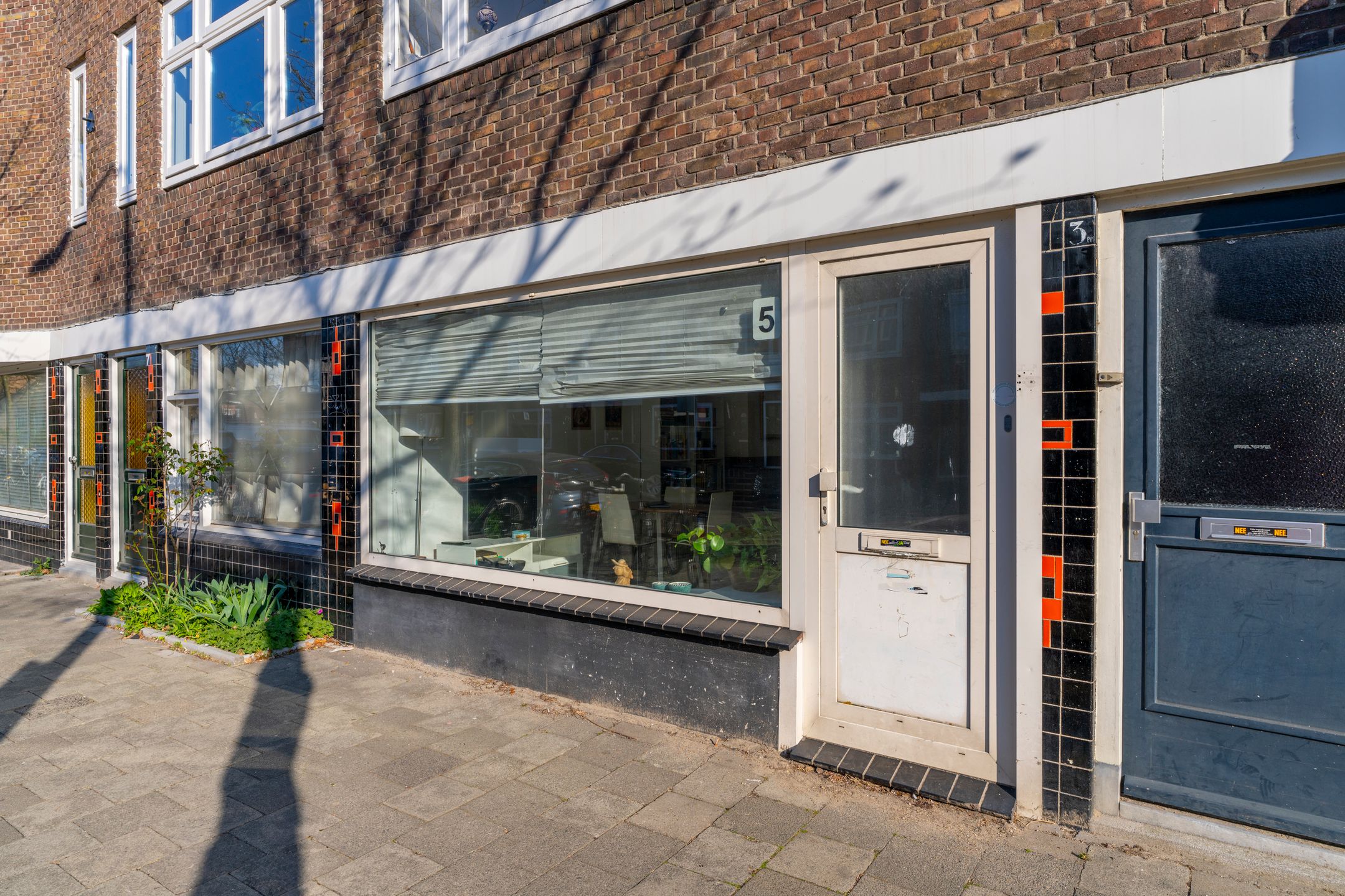 Foto 45 van Laan van Nieuw-Guinea 5