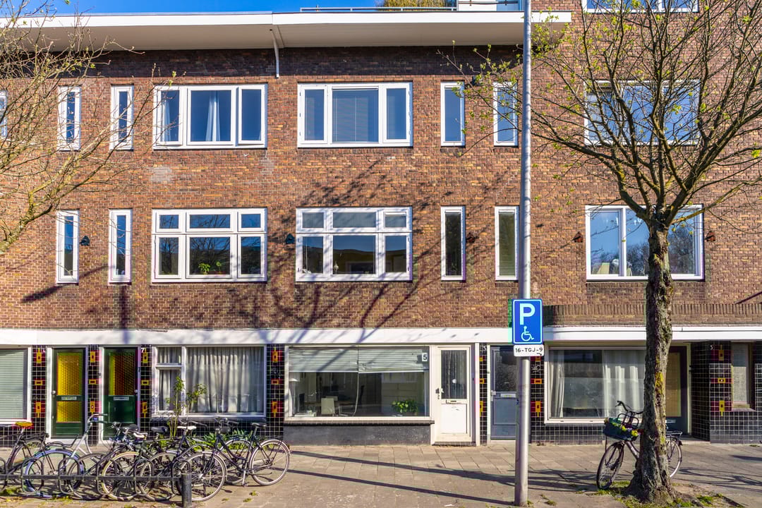 Foto 46 van Laan van Nieuw-Guinea 5