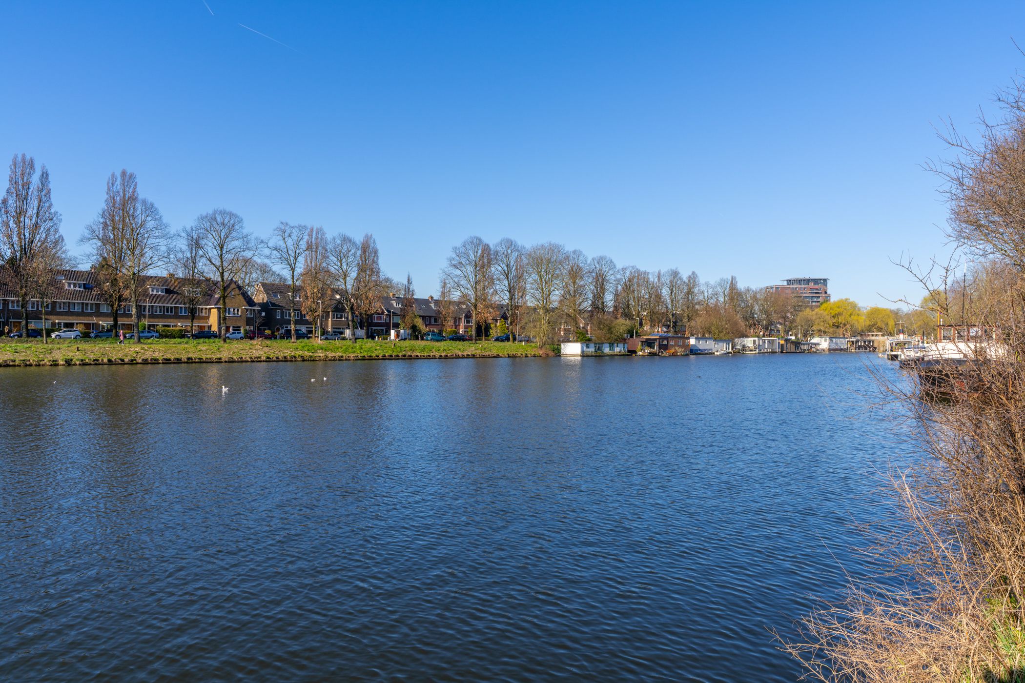 Foto 51 van Laan van Nieuw-Guinea 5