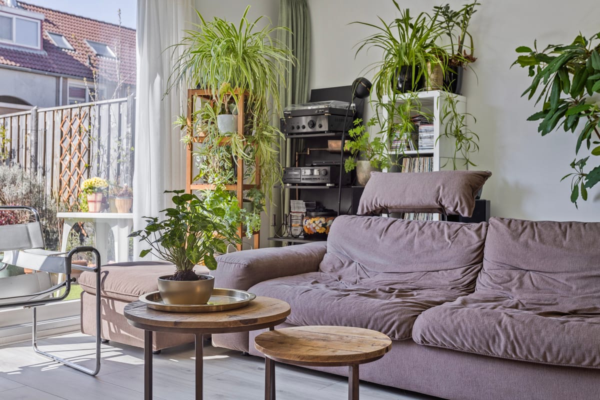 Photo 6 of Monnickendamstraat 13