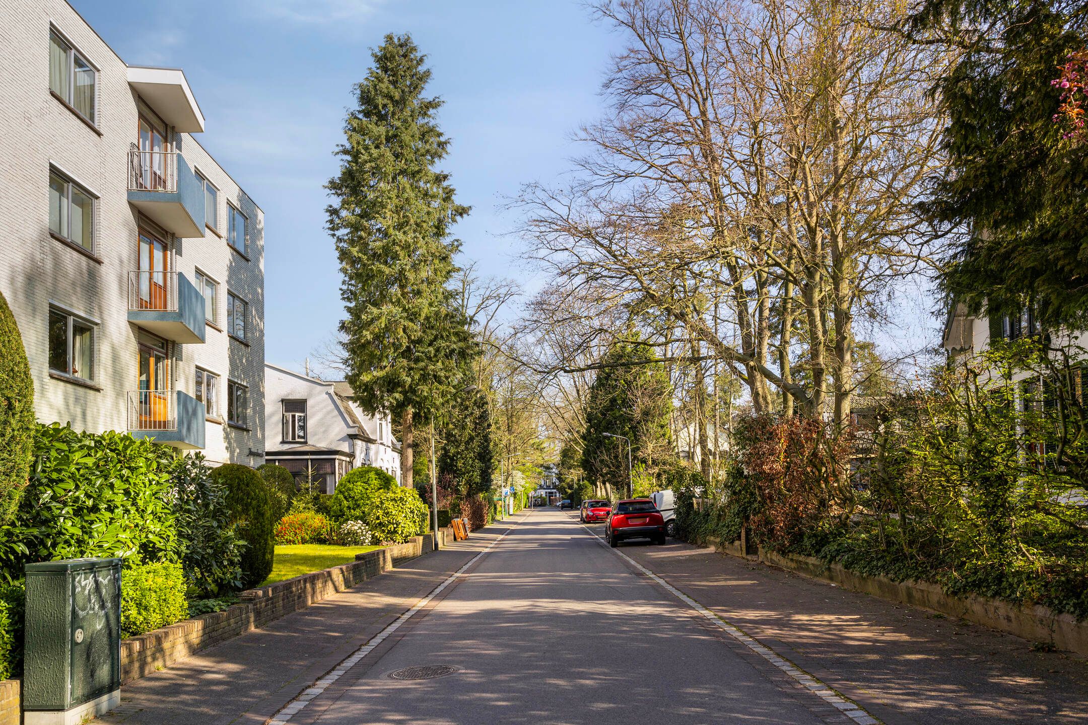 Foto 3 van Paulus van Loolaan 3