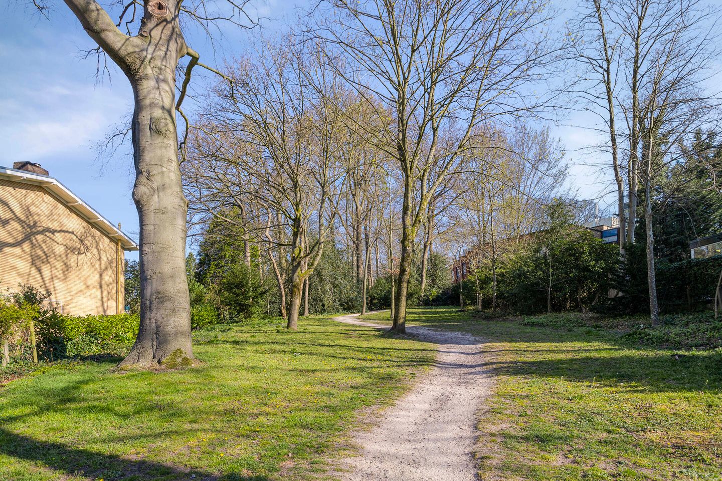 Foto 25 van Paulus van Loolaan 3