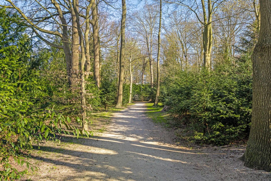 Foto 26 van Paulus van Loolaan 3