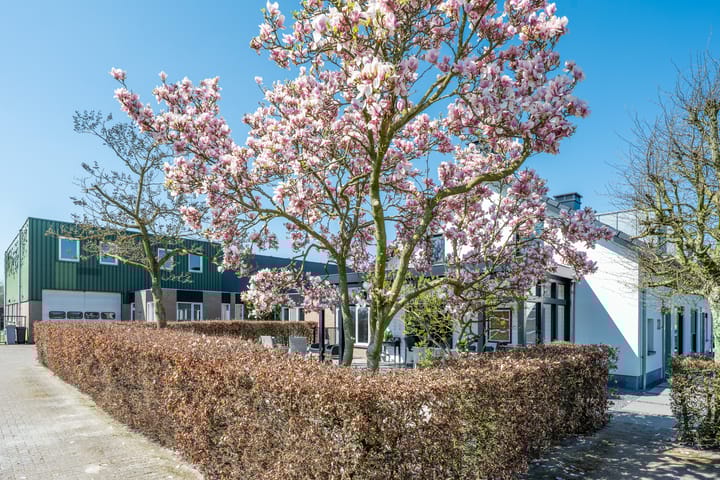 Foto 28 van Klein Westerwijksestraat 22