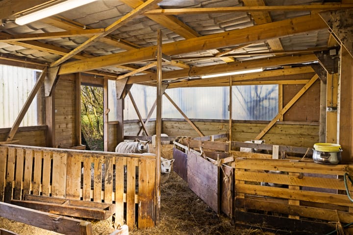 Foto 78 van De Haal 85