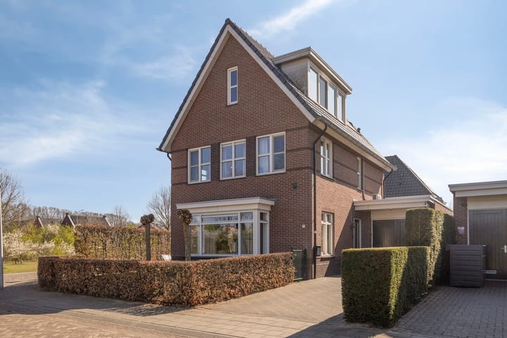 Foto 1 van Fluitekruid 7