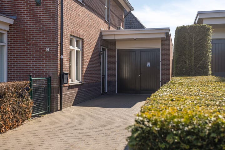 Foto 7 van Fluitekruid 7