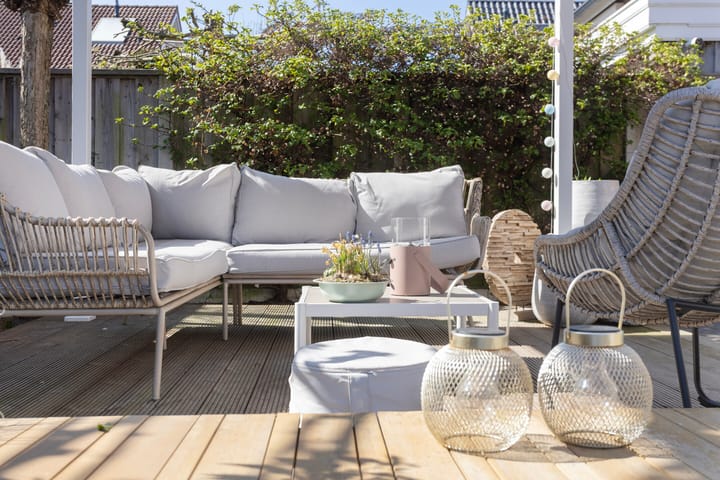 Foto 29 van Fluitekruid 7