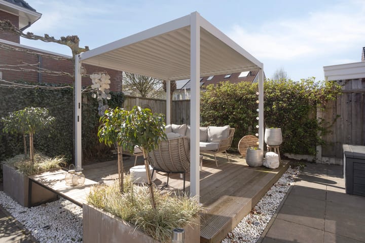 Foto 30 van Fluitekruid 7