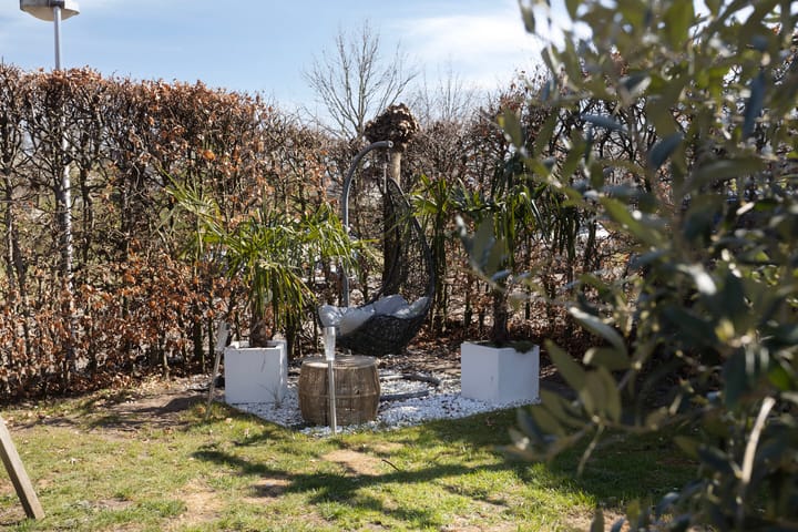 Foto 34 van Fluitekruid 7