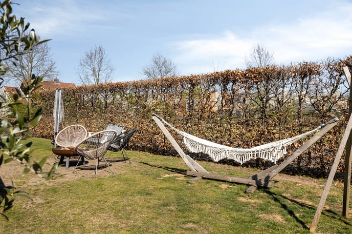 Foto 35 van Fluitekruid 7