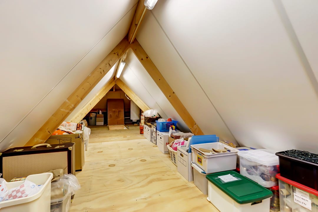 Foto 31 van S. Schotanusstraat 6