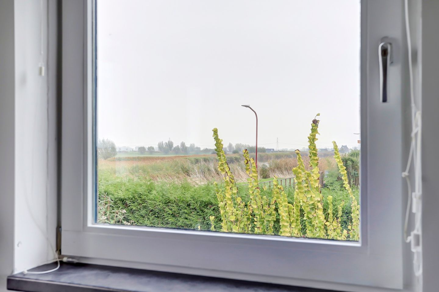 Foto 29 van Lange Vaart 6