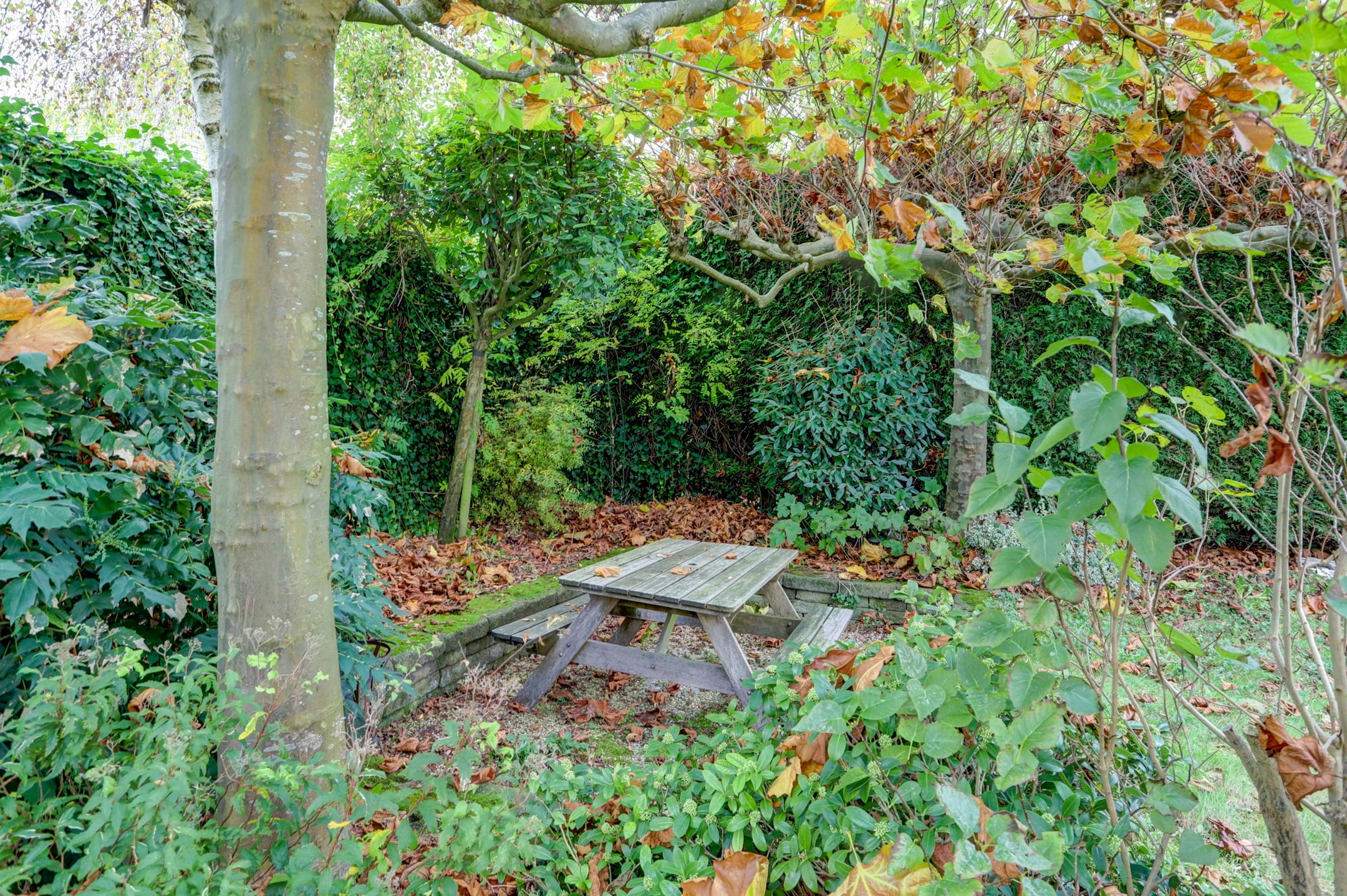 Foto 72 van Lange Vaart 6