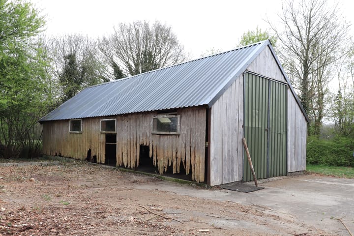 Photo 10 of Koningin Wilhelminalaan 62