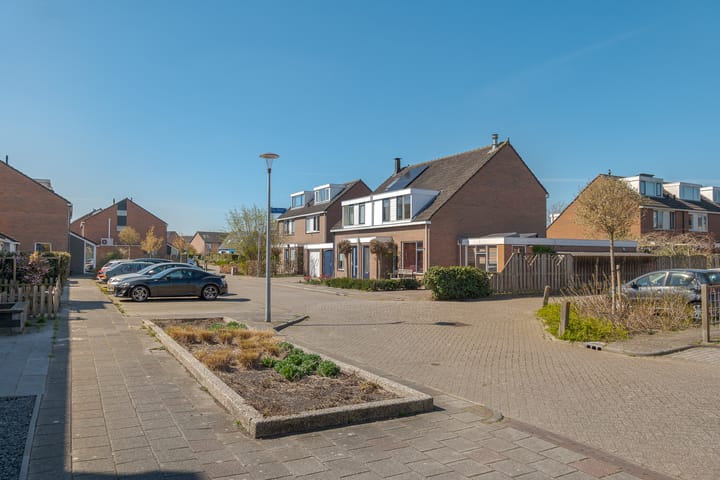 Foto 5 van de Reest 62