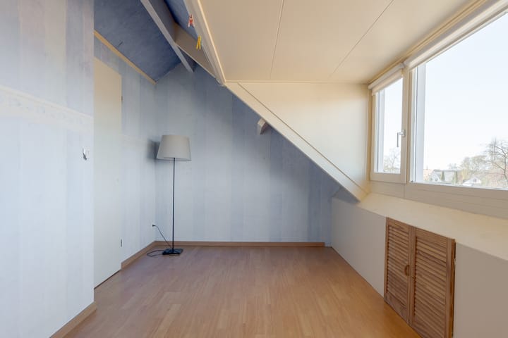 Foto 41 van de Reest 62