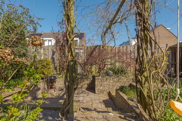 Foto 50 van de Reest 62