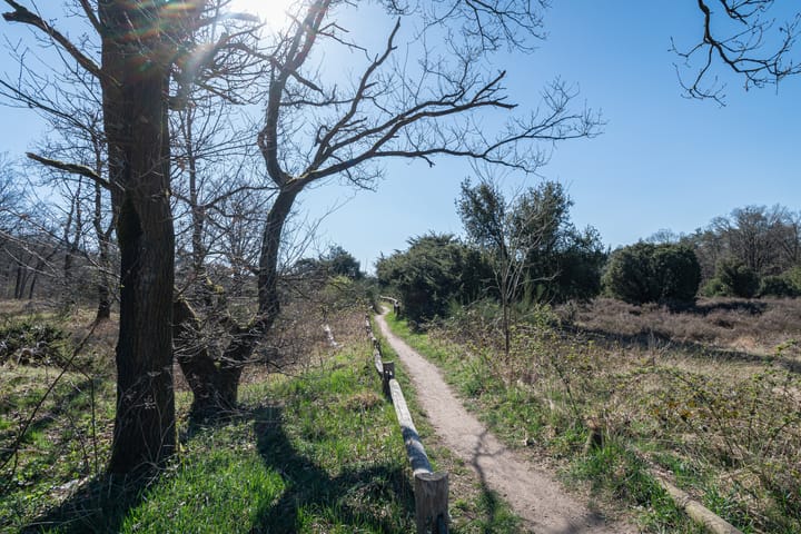 Foto 35 van Turfweg 45