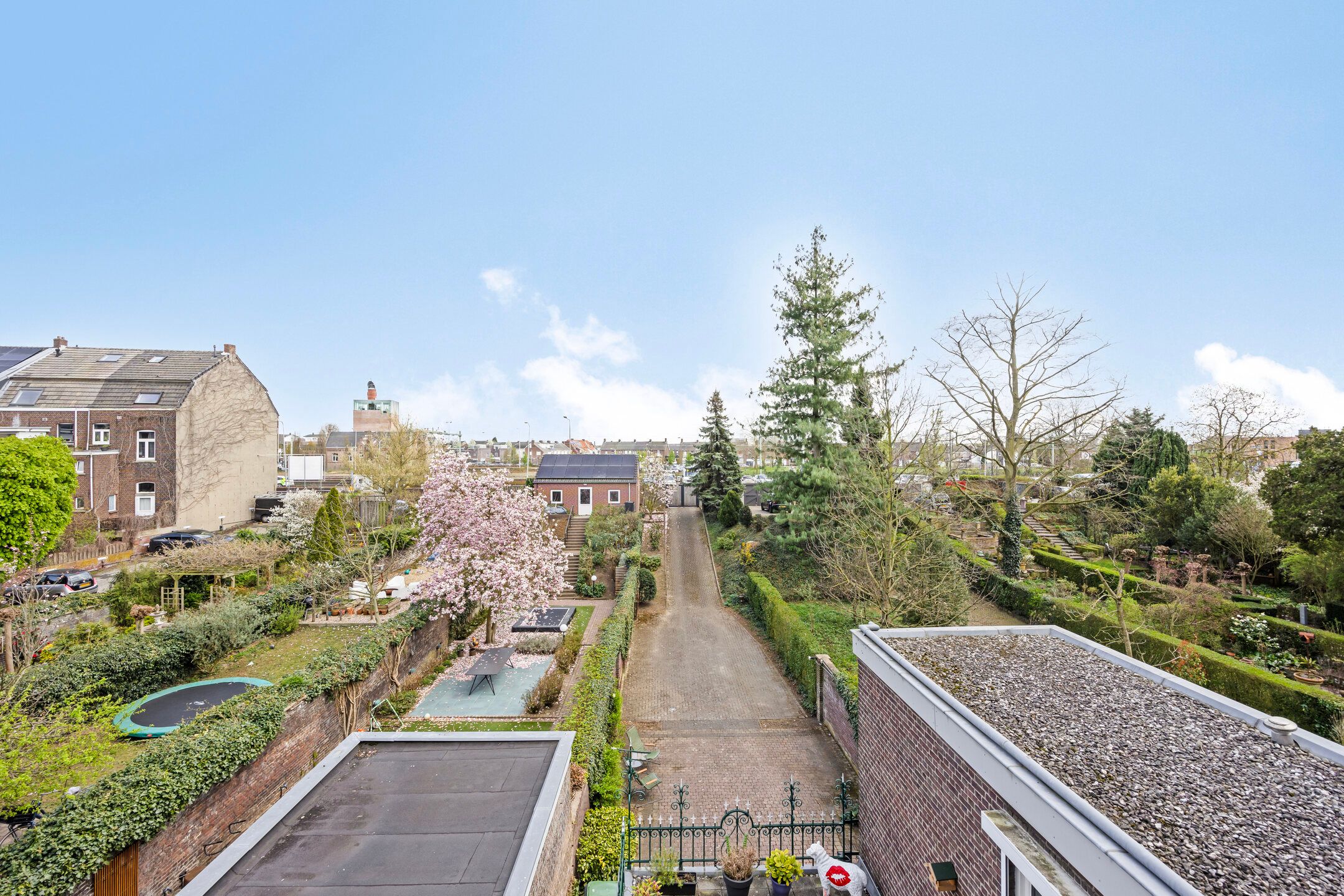 Foto 36 van Willem II Singel 51