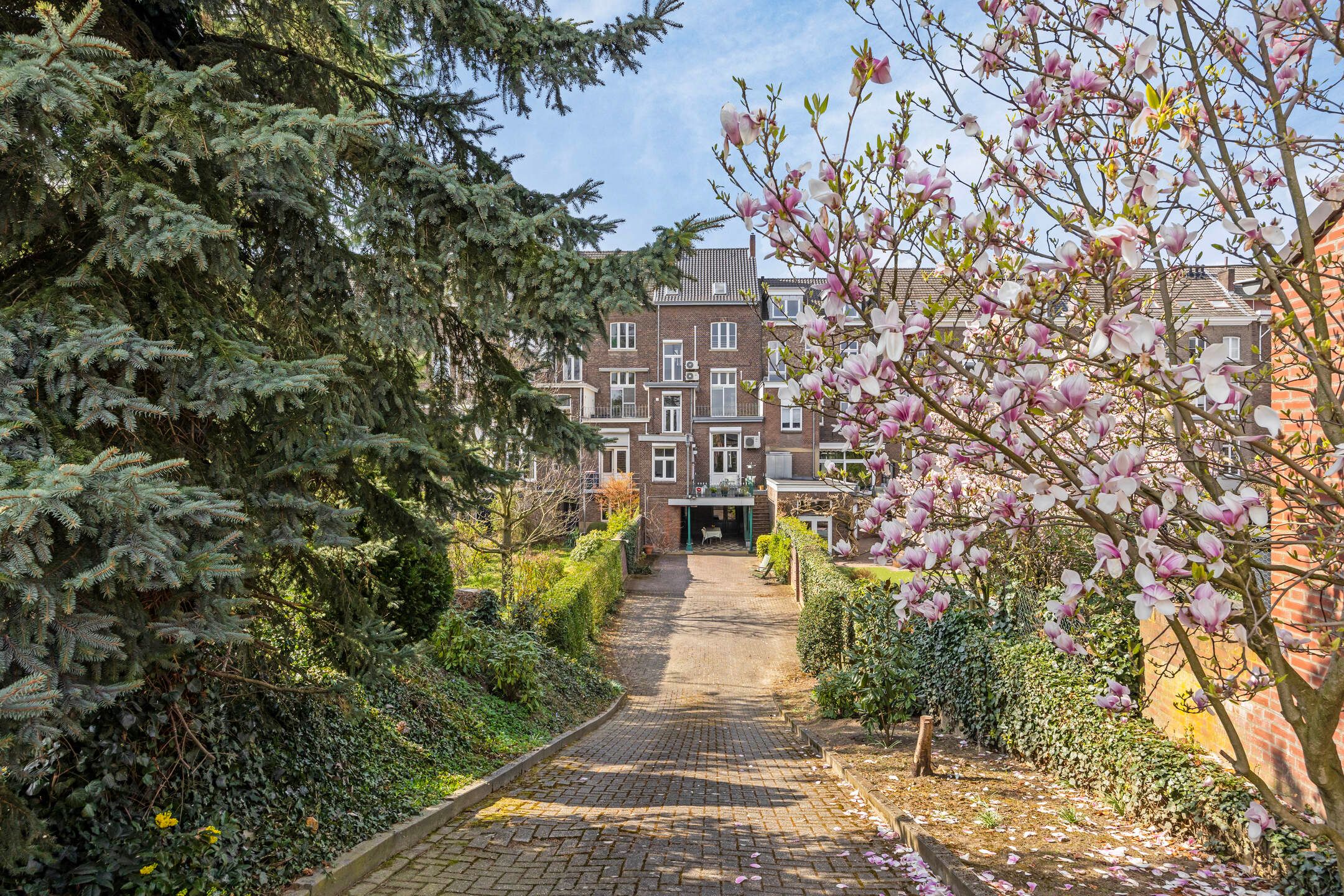 Foto 45 van Willem II Singel 51