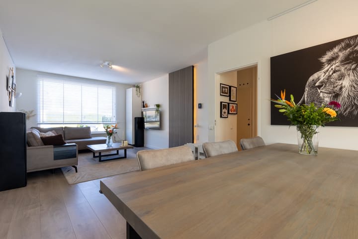 Foto 11 van Theresiastraat 28