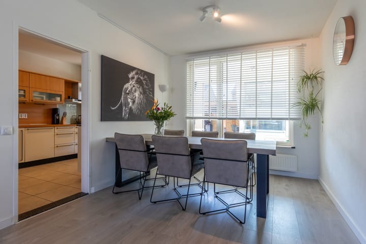 Foto 17 van Theresiastraat 28