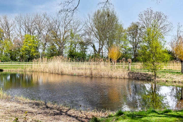 Foto 28 van Koninginneweg 395