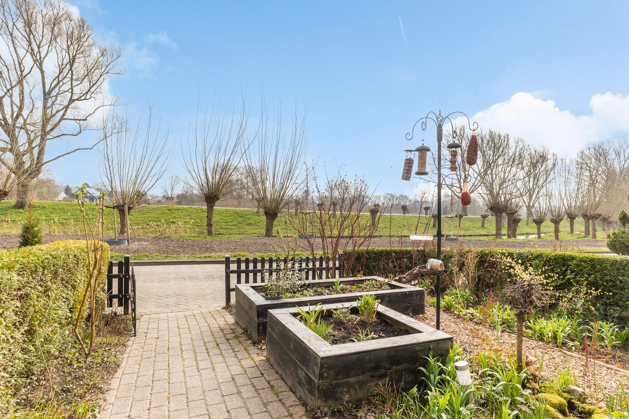 Foto 6 van Dorsvloer 134