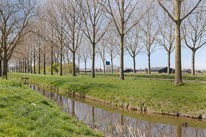 Foto 30 van Koninginneweg 395