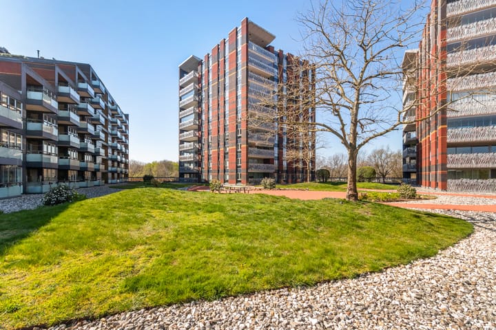 Foto 1 van De Regentesse 60