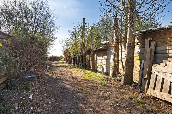 Foto 29 van Zuiderdiep 61