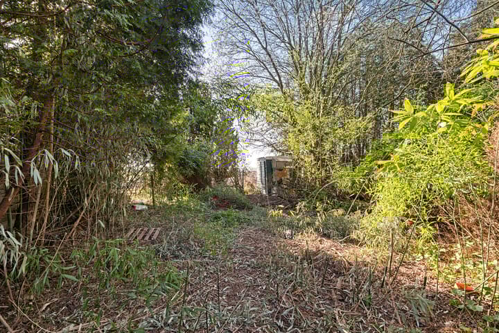 Foto 33 van Zuiderdiep 61