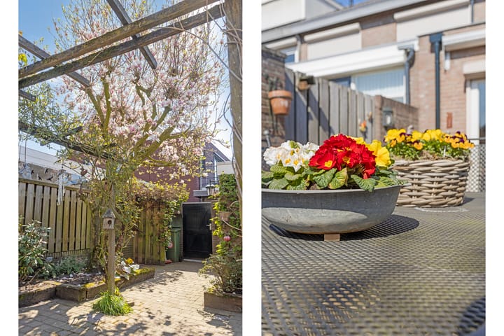 Foto 29 van Willem de Zwijgerlaan 3