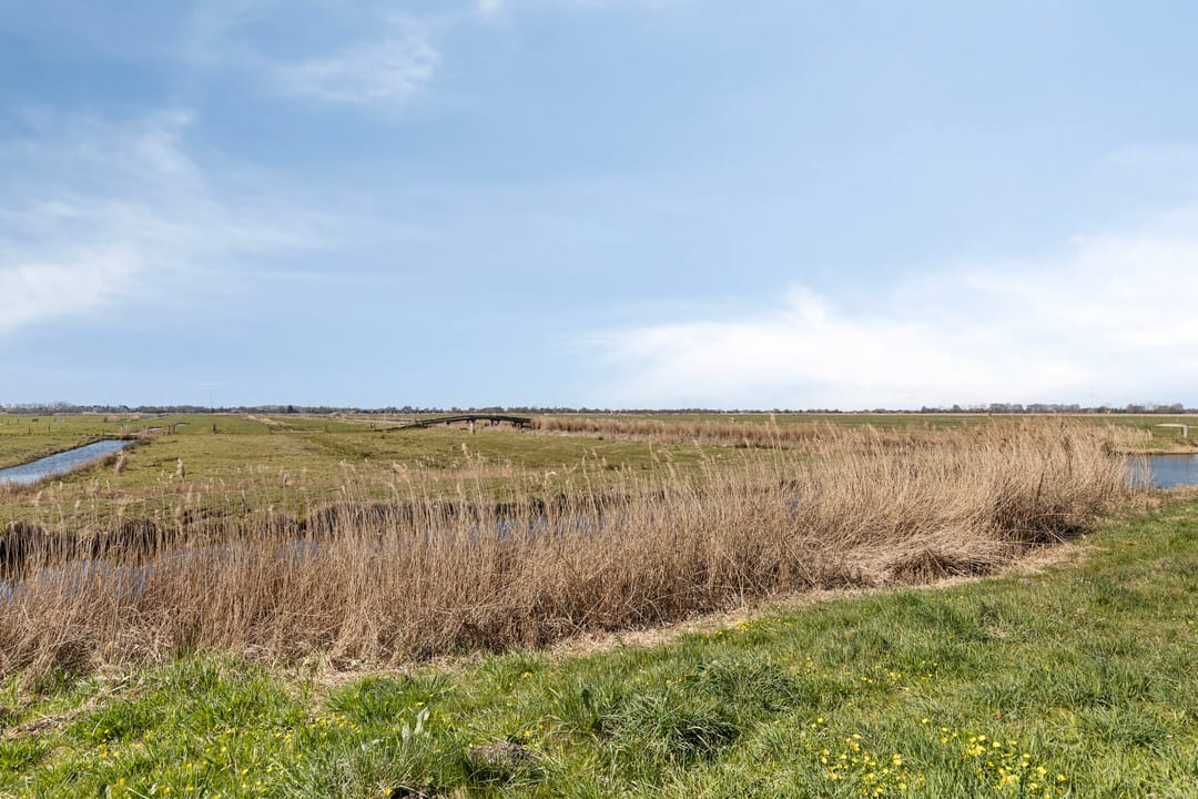 Foto 32 van Cantate 63