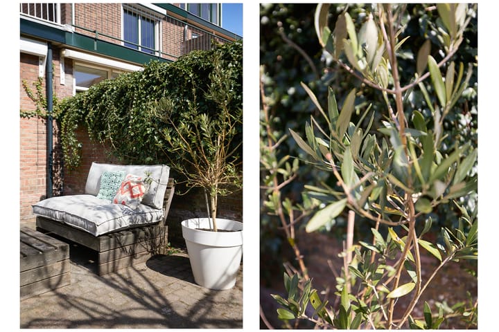 Foto 49 van Kennemerlaan 154