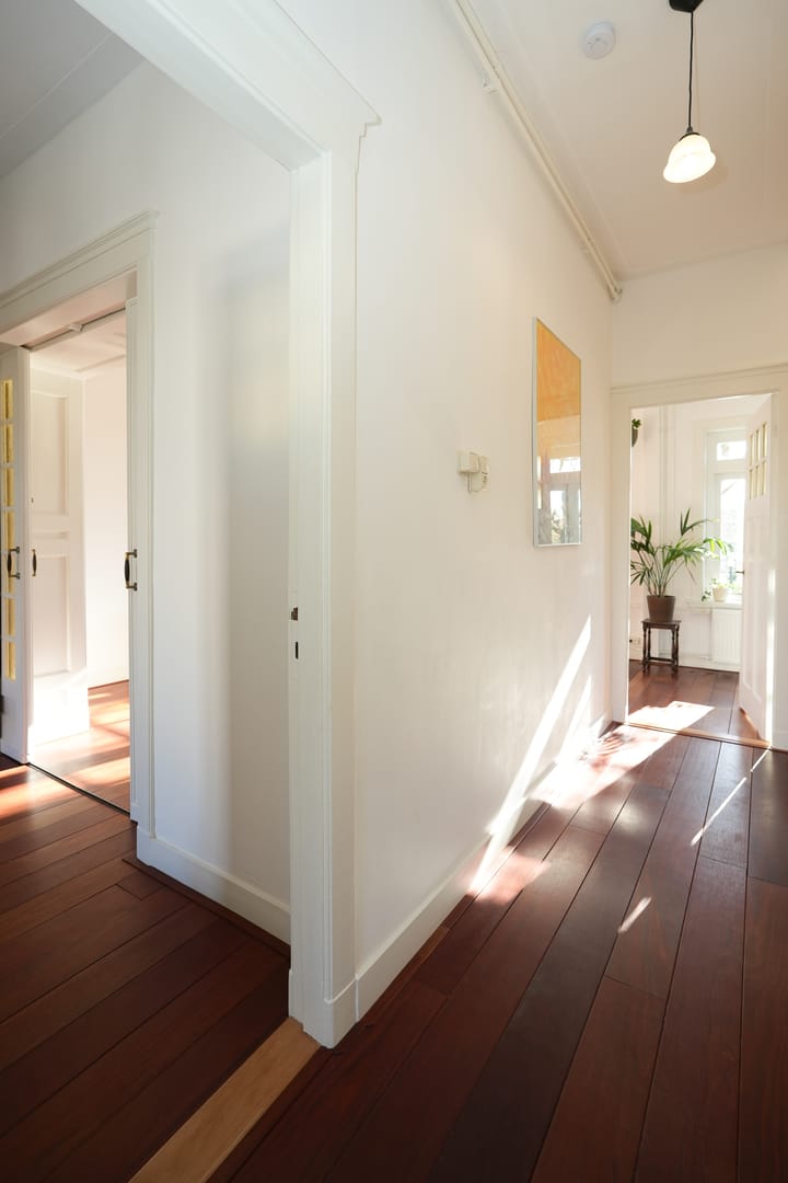 Foto 19 van Leemptstraat 18