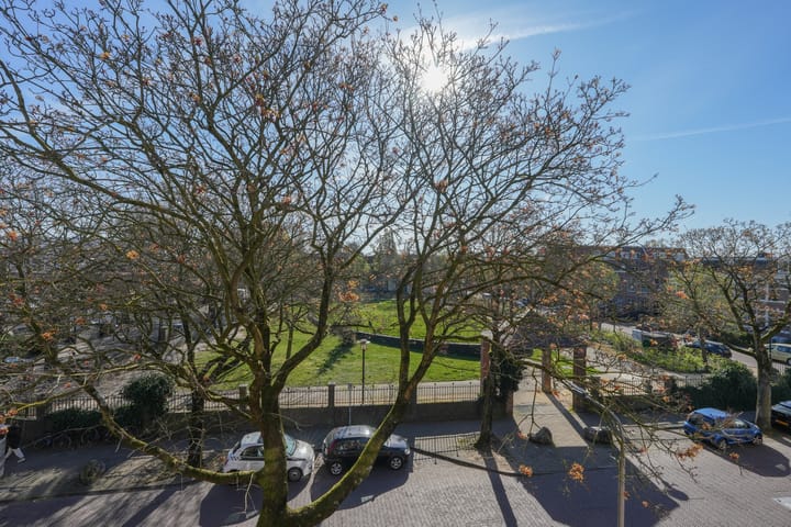 Foto 34 van Leemptstraat 18