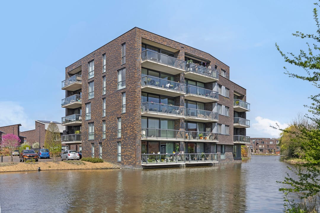 Photo 1 of Waterlelie 152