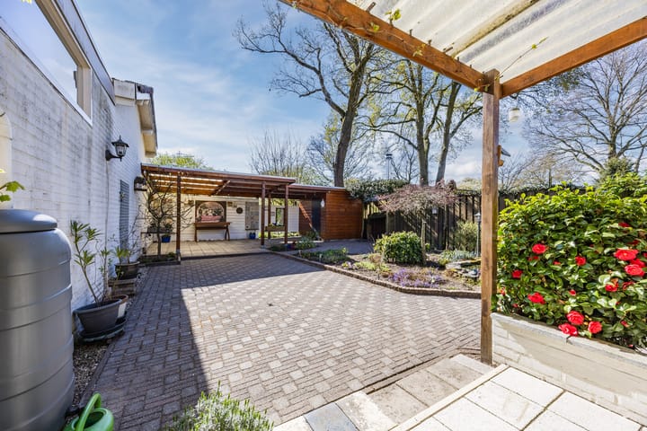 Foto 42 van Wilack 215