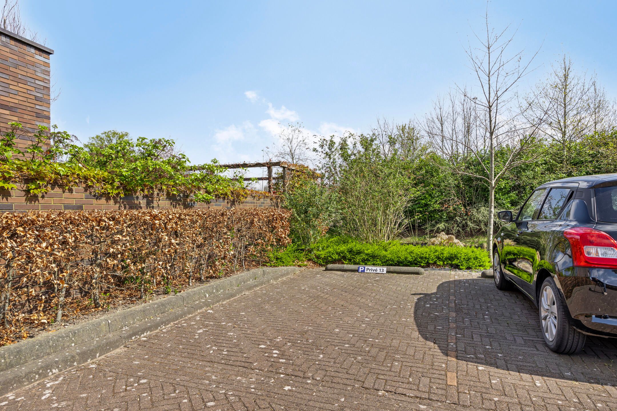 Photo 15 of Waterlelie 152