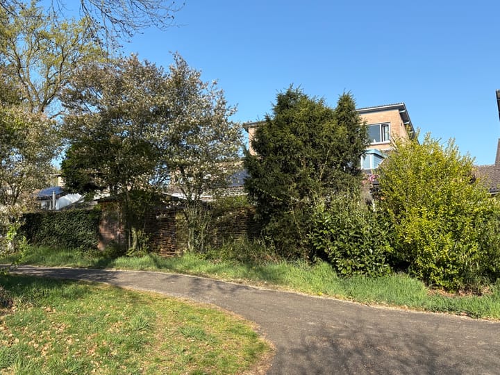 Foto 54 van Wilack 215