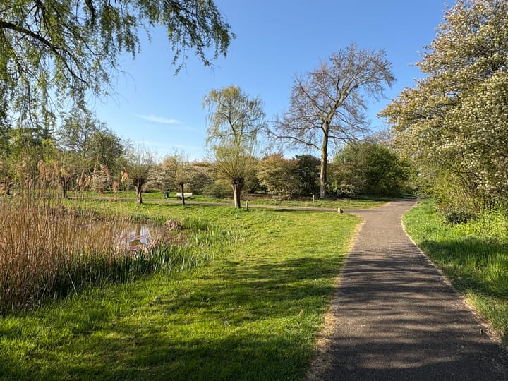 Foto 56 van Wilack 215