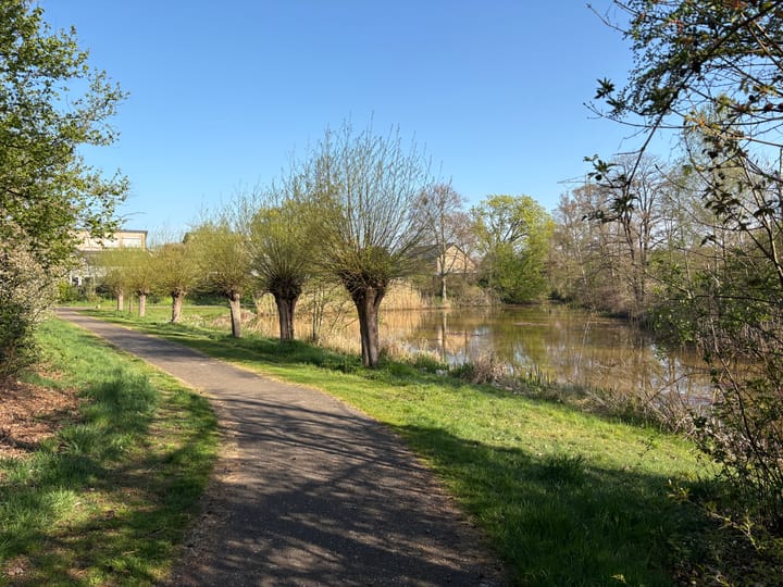 Foto 57 van Wilack 215