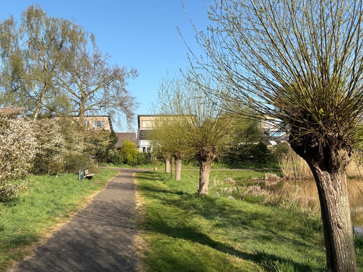 Foto 58 van Wilack 215