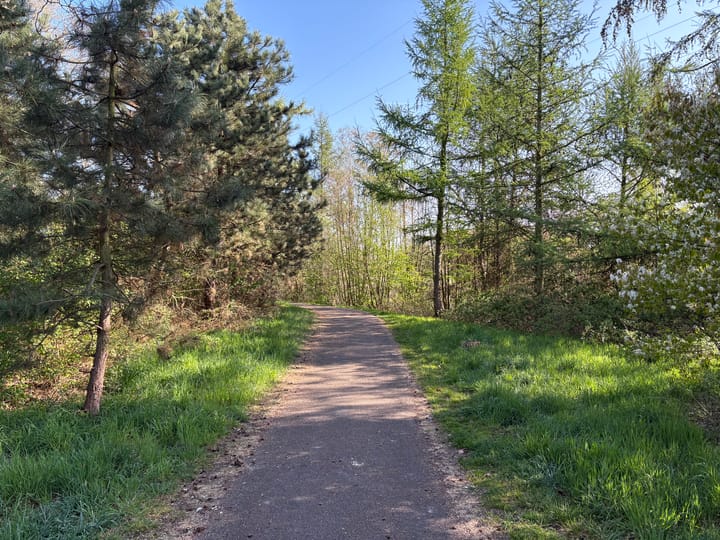 Foto 59 van Wilack 215